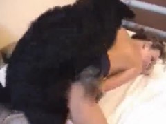 Cachorro fodendo a buceta da mamãe