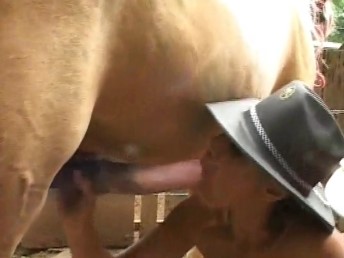Homem e sua esposa fazendo sexo com cavalo dotado