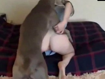 Loirinha de 18 aninhos dando a bucetinha de 4 pro cachorro